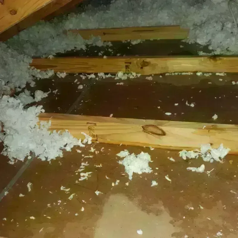 Attic Water Damage in Hanover, OH