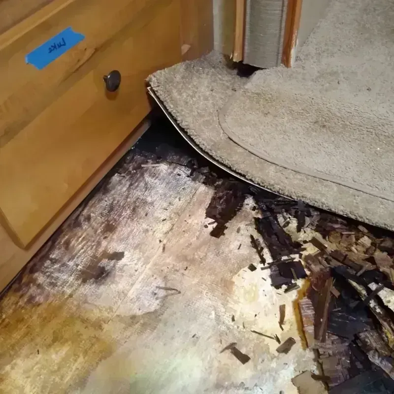 Wood Floor Water Damage in Hanover, OH